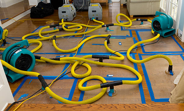 Professional Crawl Space Water Removal technician working in Milan, IL